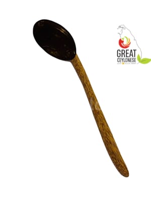 COCONUT SHELL CURRY SPOON