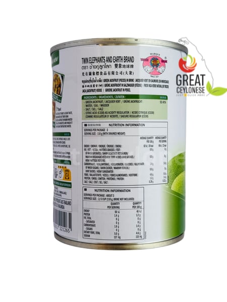 TWIN ELEPHANTS GREEN JACK FRUIT (PIECES) IN BRINE - Image 2
