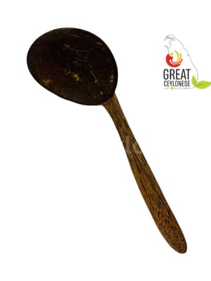 COCONUT SHELL RICE SPOON