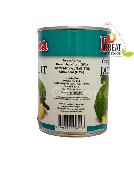 DERANA GREEN JACK FRUIT IN BRINE - Image 2