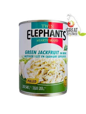 TWIN ELEPHANTS GREEN JACK FRUIT (CHOPPED) BRINE