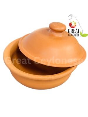 PLAIN CLAY POT AND LID SET PLAIN - LARGE