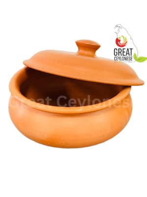 10 INCH CLAY POT AND LID SET (PLAIN)